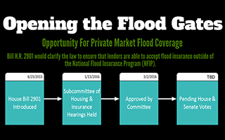 Opening the Flood Gates