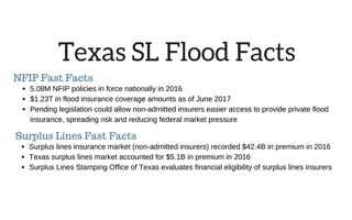Texas SL Flood Facts