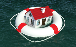 The Emerging Residential Flood Insurance Market in the United States