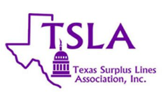 TSLA Elects 2019-2020 Officers