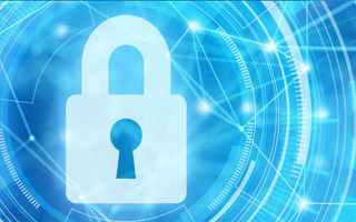 Cyber Brief Shows Continued Growth into 2020